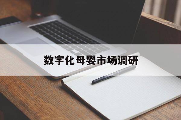 渭南市数字化母婴市场调研(数字化母婴市场调研报告)